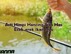 Mimpi Mancing Dapat Ikan Mas Merah Togel